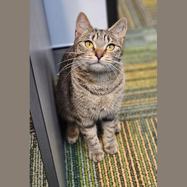 Photo of Luna