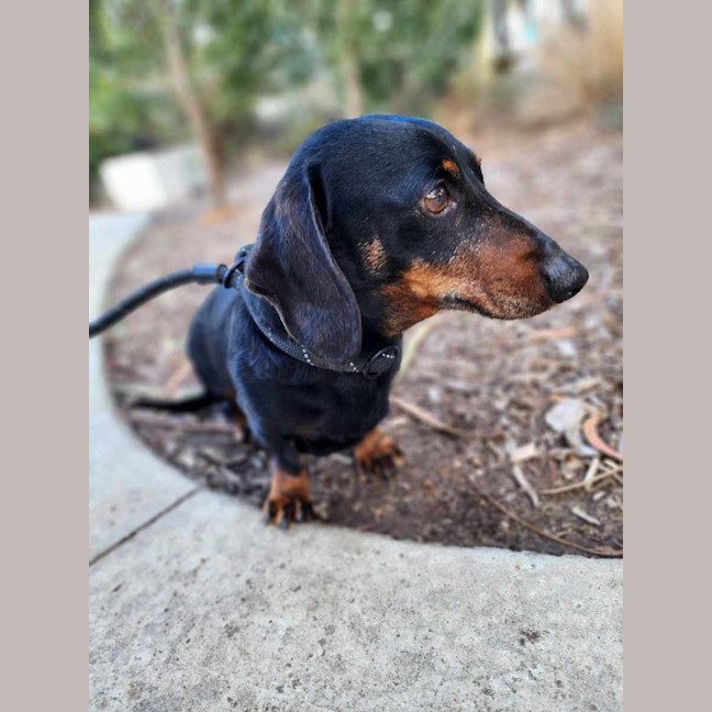 Photo of 🌞 Sonny 6191 🌞