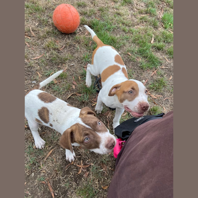 Photo of Bert & Ernie