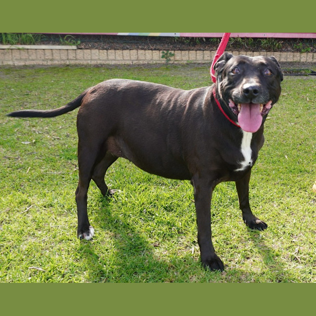 Photo of Roxy