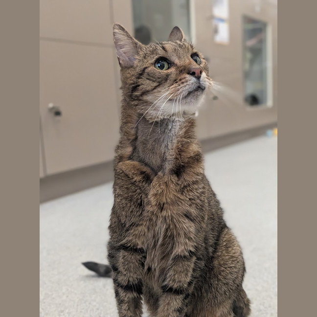 Photo of Tiberius 