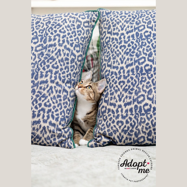 Photo of Eleanor 🌼