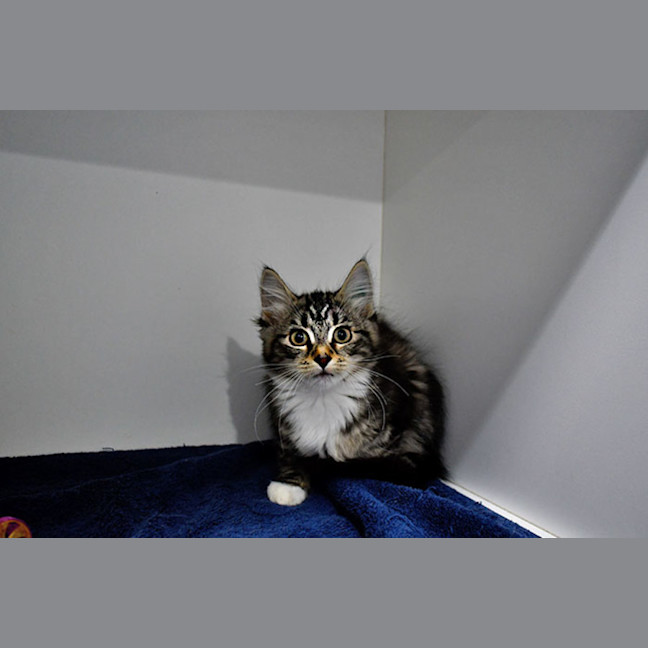Photo of Vanya