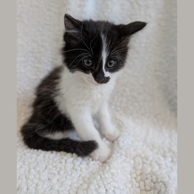 Photo of Jelly Beans