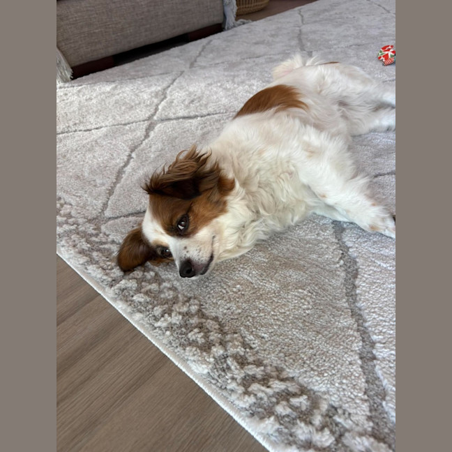 Photo of Ruffles