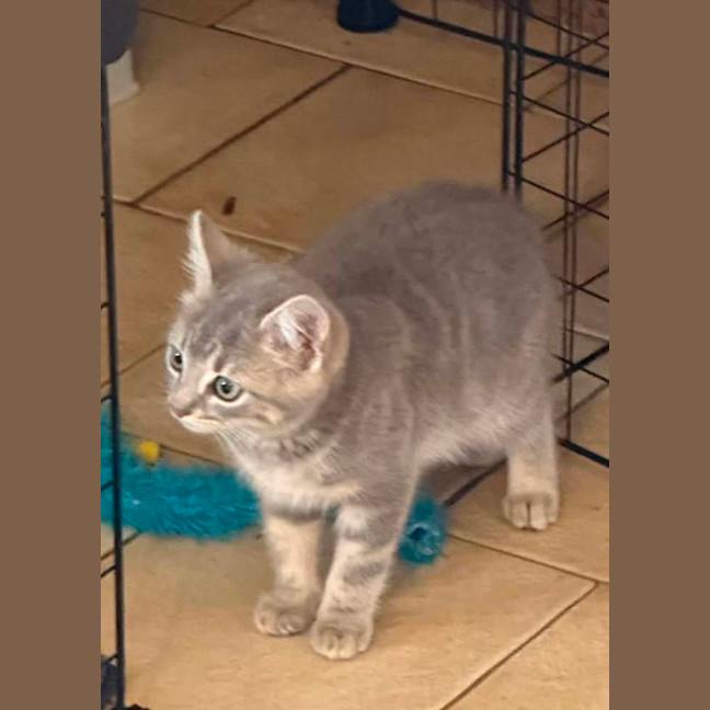 Photo of Tilly