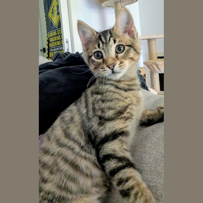 Photo of Miles 