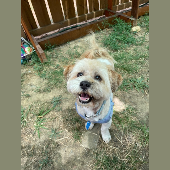 Photo of Akira And Meiko