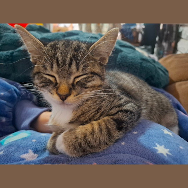 Photo of Boots