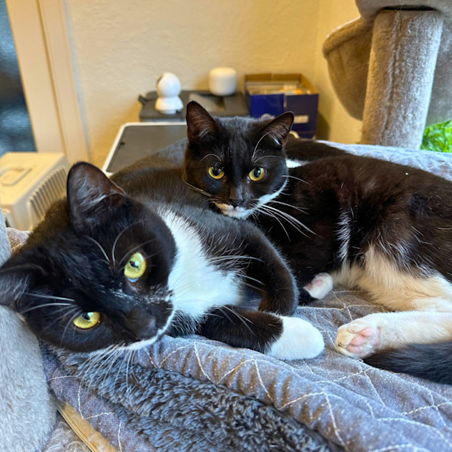 Photo of Peppa & Tabitha