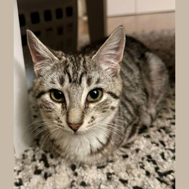 Photo of Peter And Brock