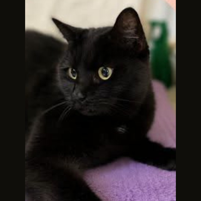 Photo of Rosita