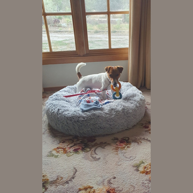 Photo of Max