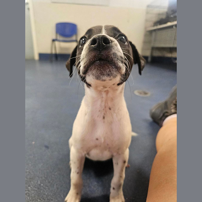 Photo of Dorothy Anne