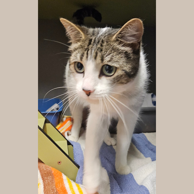 Photo of Lucky 