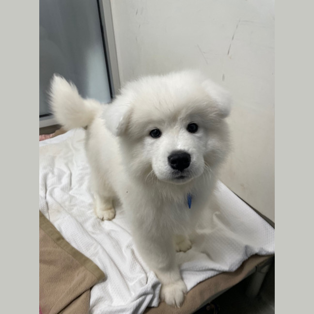 Photo of Nimbus 