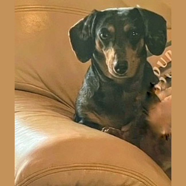 Photo of (Titch) Roxie