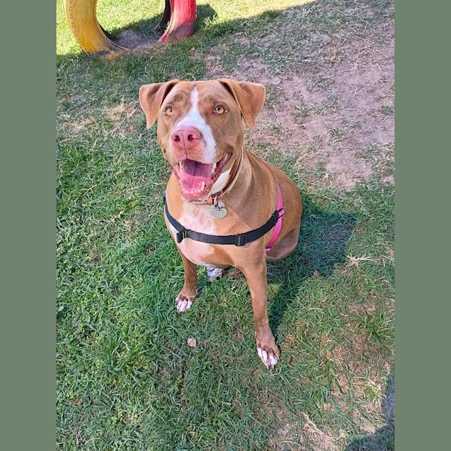 Photo of Xena