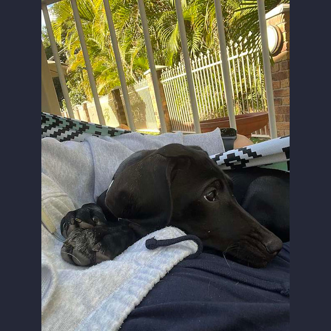 Photo of Lottie
