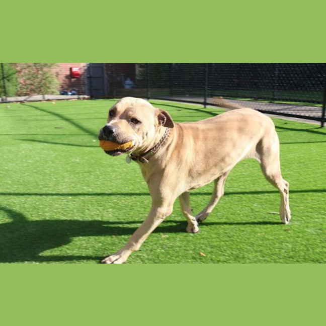 Photo of Zeus