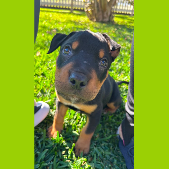 Photo of Bear 🐻 