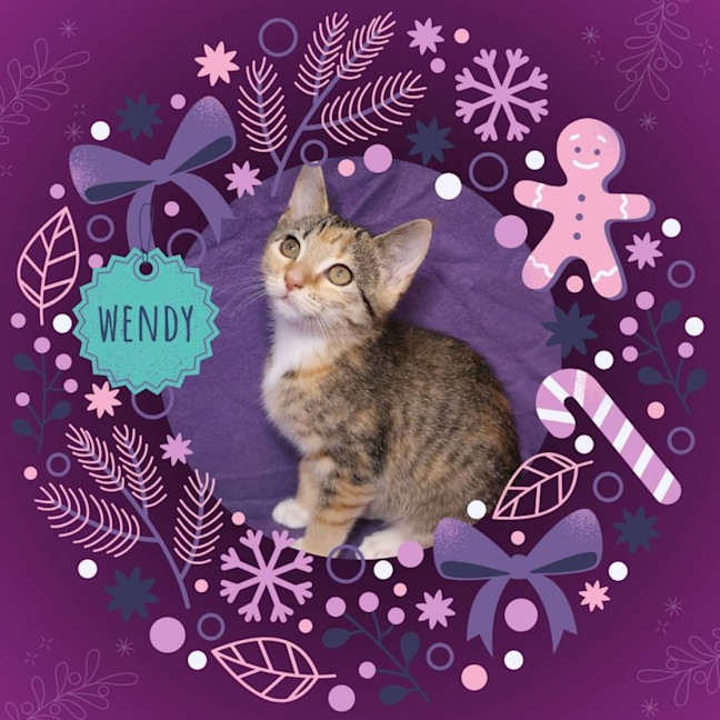 Photo of Wendy