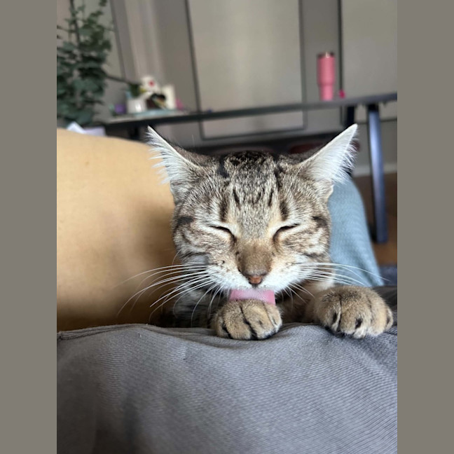 Photo of Winnie