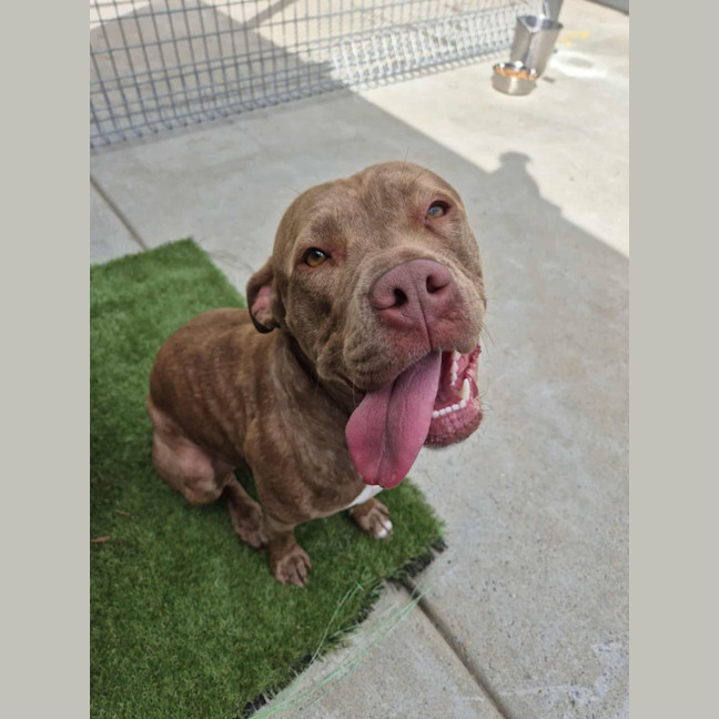 Photo of Meggie 💜