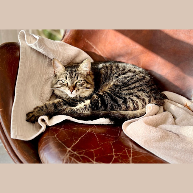 Photo of Lexi & Cara