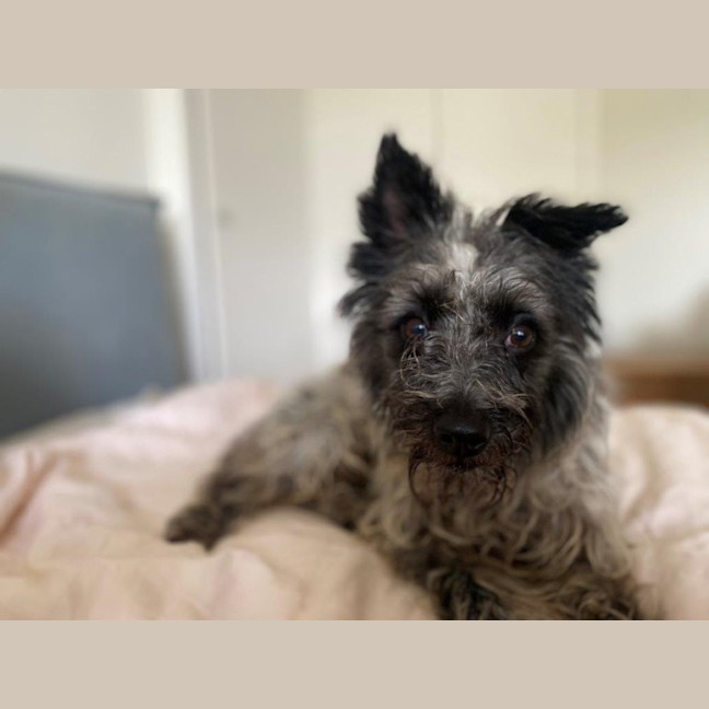 Photo of Truffles O’cleary