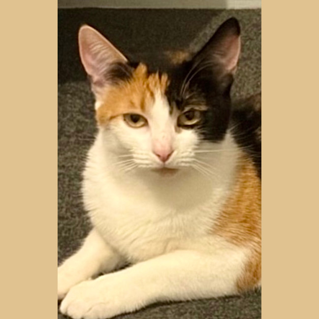 Photo of Betty 