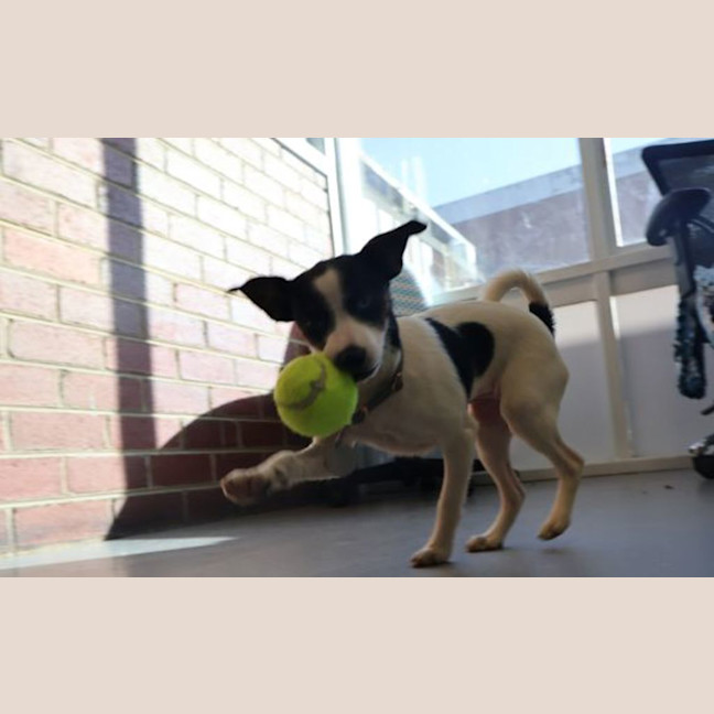 Photo of Lucy