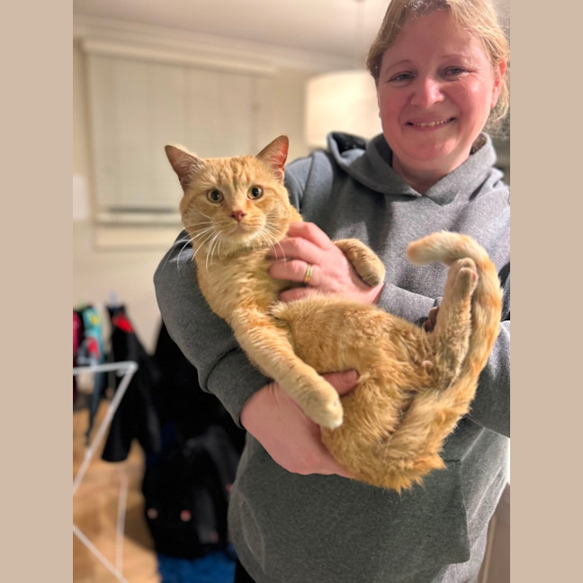 Photo of Sponge Cake