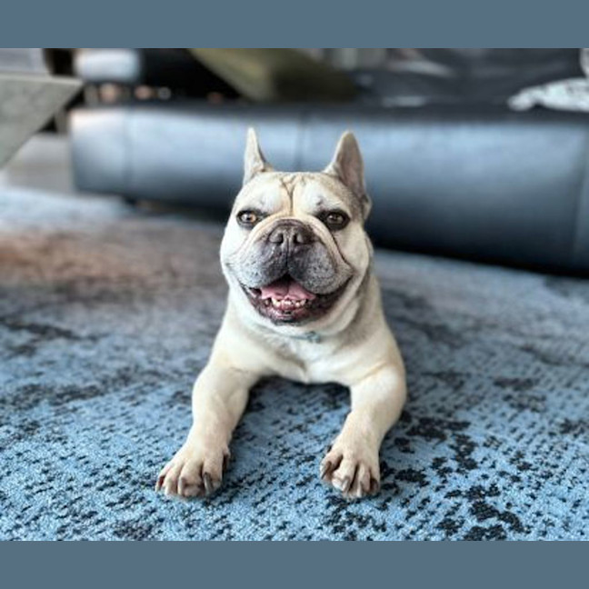 Photo of Pablo