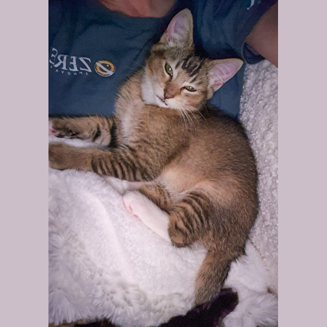 Photo of Peanut