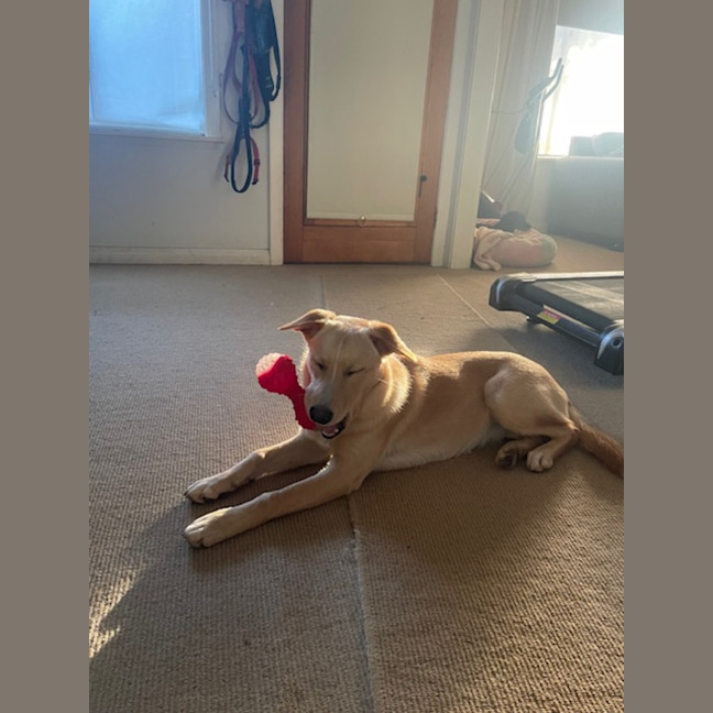 Photo of Daisy