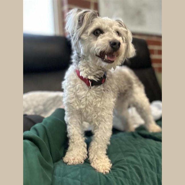 Photo of Sunny