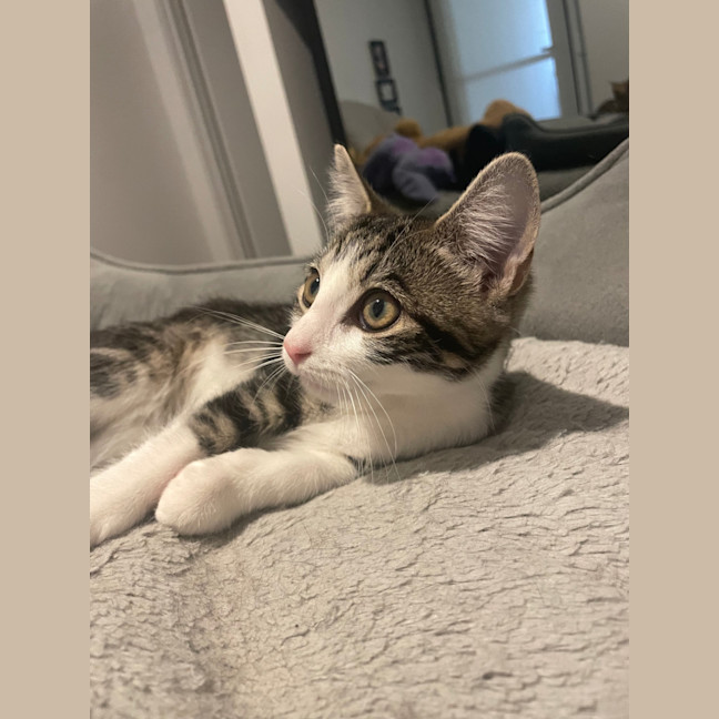 Photo of Penne 🍝