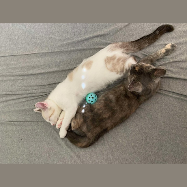 Photo of Summer And Rain 