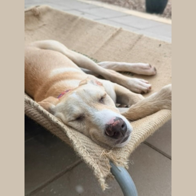 Photo of Dolly Pawton