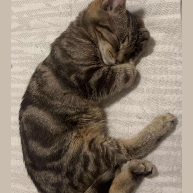 Photo of Cosmo & Teddy!