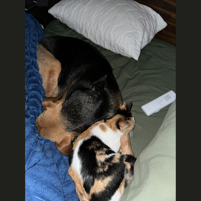 Photo of Maya & Morgan🌻🌼