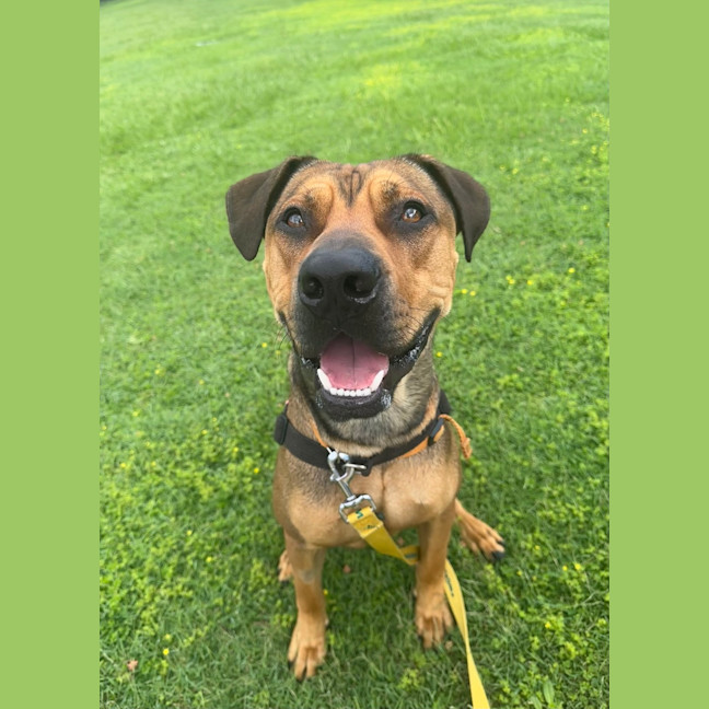 Photo of Rosco