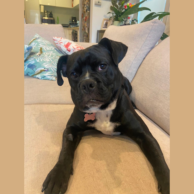 Photo of Buster ❤️
