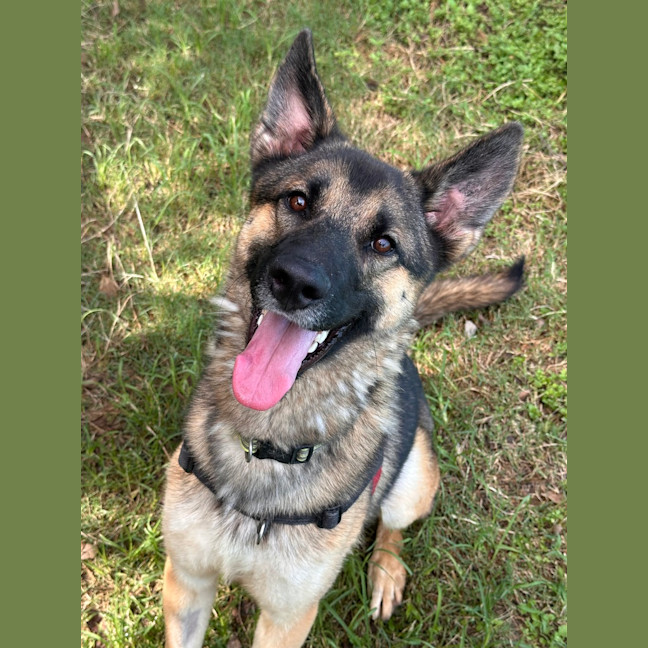 Photo of Xylon