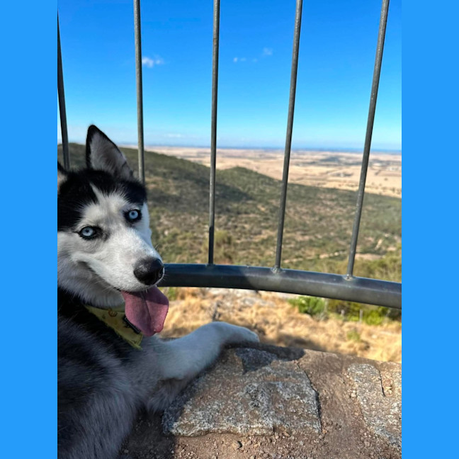 Photo of Athena