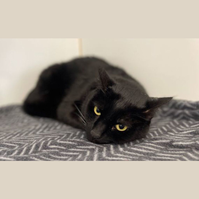 Photo of Rosie