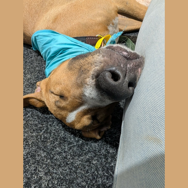 Photo of Juice