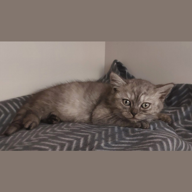 Photo of Buffy