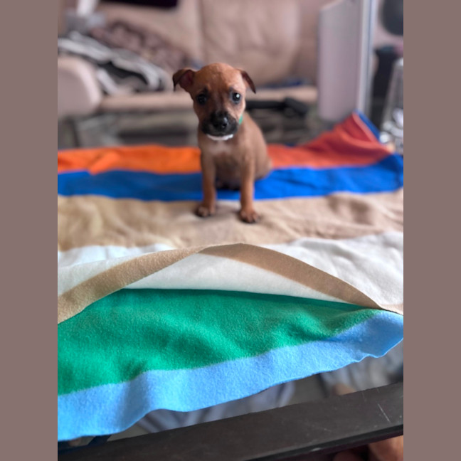 Photo of Charlie